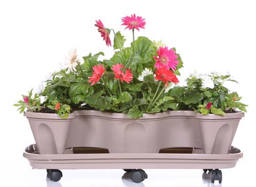 D7060 Tray With Wheels For Deck'nrail Terracotta