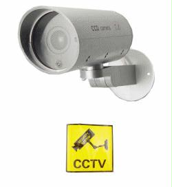 Streetwise Security Products DC1600 Dummy Camera Indoor/Outdoor Housing With Motion Detector