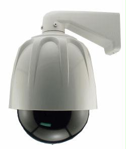 Streetwise Security Products LDDC8 8 Inch Dome Dummy Camera In Outdoor Housing With Led Light
