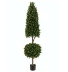 Lpb295-gr-tt 5 Ft. Con-ball Boxwood Top Two Tone Green- Case Of 1