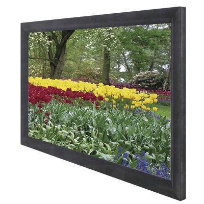 ELITE SCREENS R110WH1
