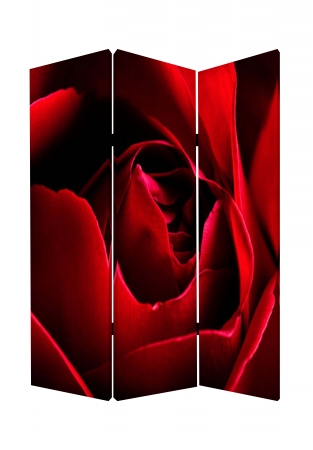 72"h X 2"w X 48"d Rose Screen - Multicolored