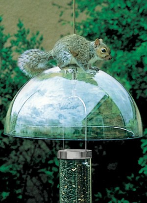 Sqg Squirrel Baffle Squirrel Guard - Green