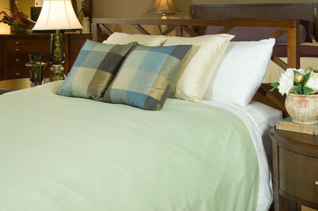 BedVoyage 11981323 Twin Sage/White Duvet Cover