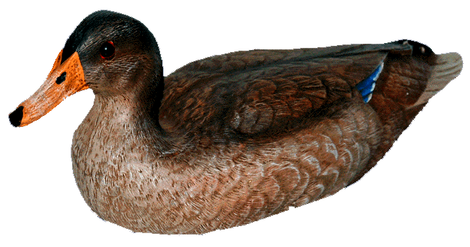 Craft-Tex 15055HP 10 in. Mallard Hen