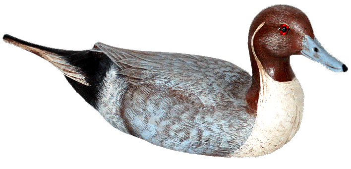 Craft-Tex 15058HP 10 in. Pintail Drake