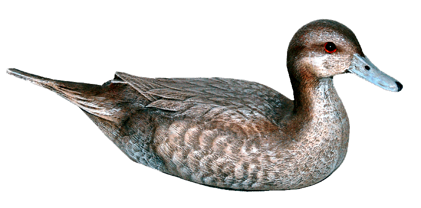 Craft-Tex 15059HP 10 in. Pintail Hen