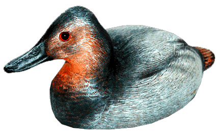 Craft-Tex 15060HP 10 in. Canvasback Drake