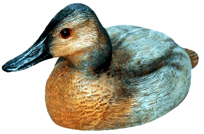 Craft-Tex 15061HP 10 in. Canvasback Hen