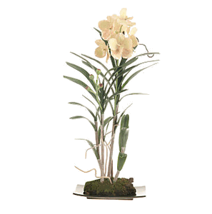 Nearly Natural 4316GP Vanda with Rectangle Dish Silk Flower Arrangement