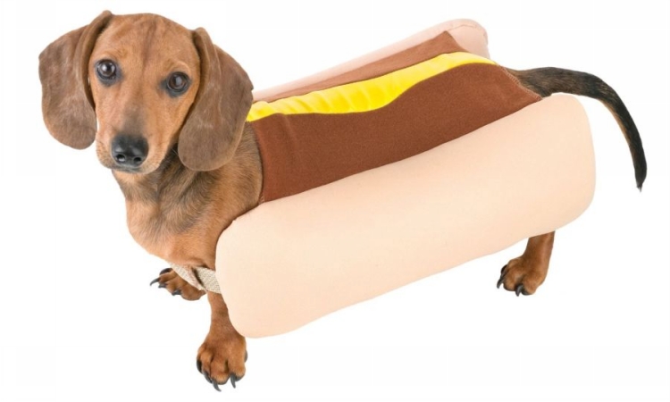Costumes For All Occasions Fw90056Hp Hot Dog Extra Small