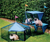 KITTY WALK 024KWS105110 Kittywalk Carnival Carousel and Ferris Wheel Set