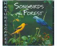 Ns056 Songbirds Of The Forest