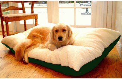Majestic Pet 788995651437 30x40 Medium Rectangle Pet Bed- Green