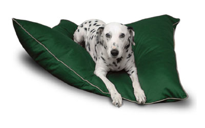 Majestic Pet 788995653530 28x35 Medium Super Value Pet Bed- Green