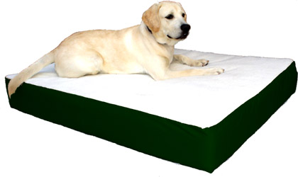 Majestic Pet 788995614838 34x48 Large-extra Large Orthopedic Double Pet Bed- Green