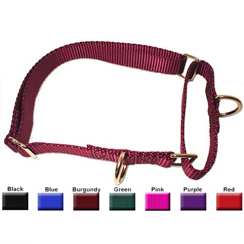 Majestic Pet 788995753094 14-20 In. Martingale Training Collar Pink