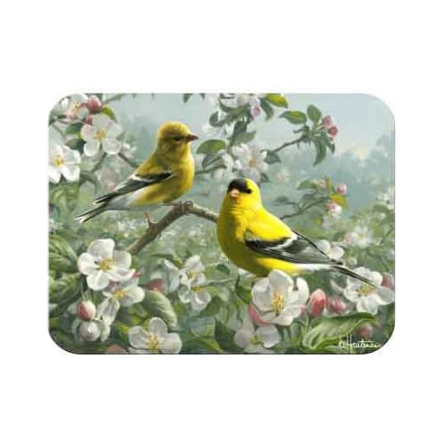 Mcgowan Tt92371 Tuftop Orchard Goldfinch Cutting Board- Small