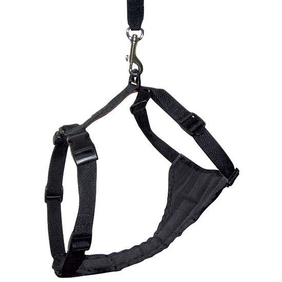 Kurgo KUR0024 TruFit Smart Harness Black  Medium
