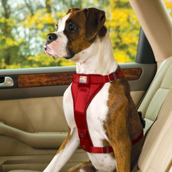 Kurgo KUR0064 TruFit Smart Harness Red  Medium
