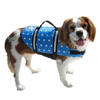 Paws Aboard BP1400 Blue Polka Medium