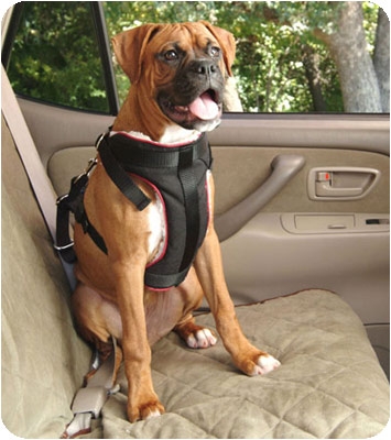 Solvit SOLV62295 Pet Vehicle Harness Medium