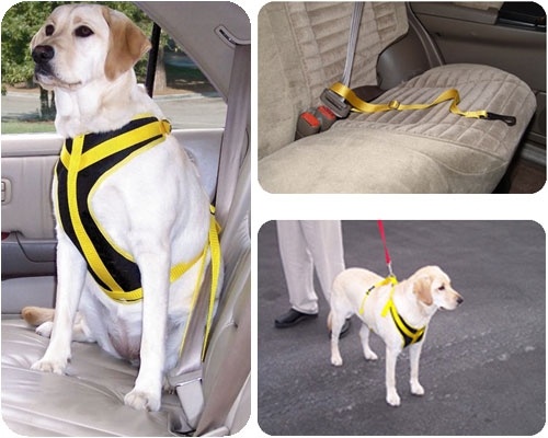 Watson WA002 Dog Safety Vest Harness  Medium