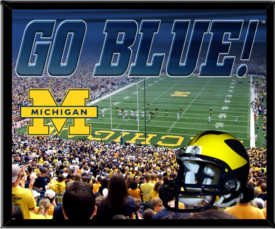 R and R Imports#44; Inc. FPCMIC2 Michigan Wolverines 8apos;apos; x 10apos;apos; Stadium Design Mylar Framed Photo Logo Wall Hanging