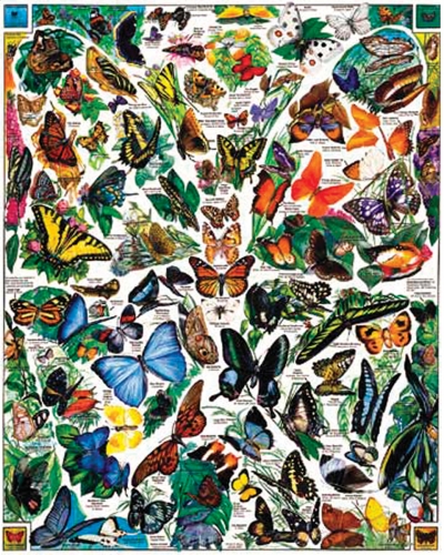 White Mountain Puzzles WM168 Jigsaw Puzzle 1000 Pieces 24"X30