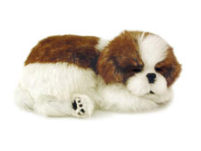 Perfect Petzzz XP9119  