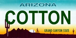 LP2111 Arizona State Background License Plates Cotton