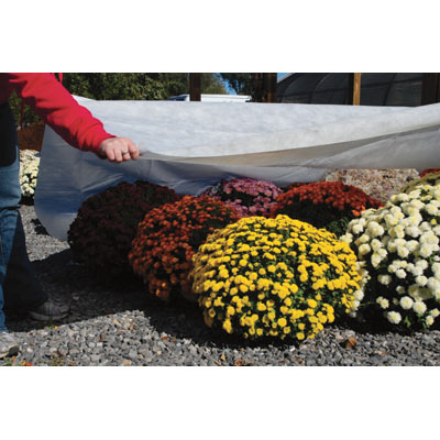 Ground Cover Fabric - 12 Ft. X 250
