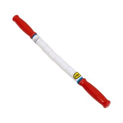Intracell Travel Stick