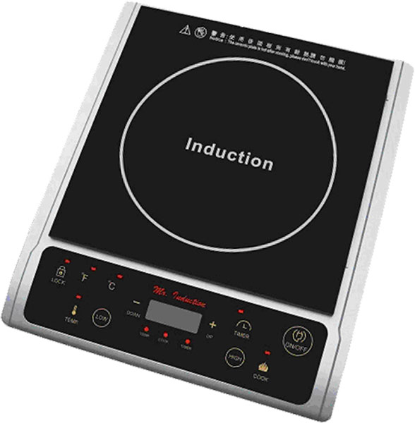 Sr-964ts 1300w Induction In Silver (countertop)