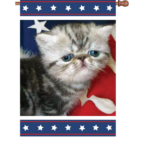 Toland 101177 Patriotic Kitties Standard Flag