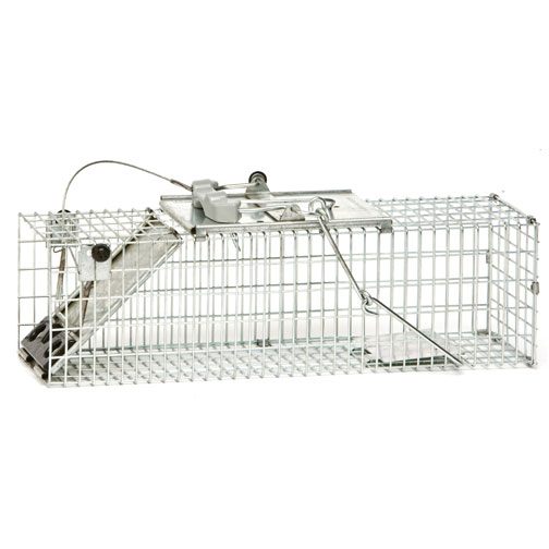 683865 Small Easy Set Cage Trap