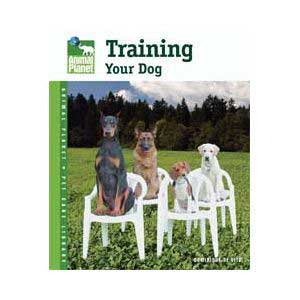 TfhNylabone DTFAP024 Animal Planet  Training Your Dog