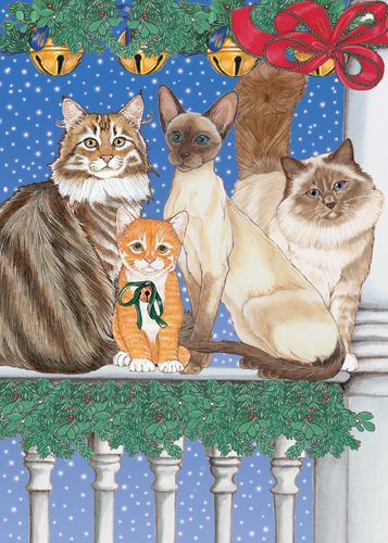 Cat Holiday Boxed Cards