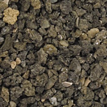 Carib Sea ACS00220 African Cichlid Mix 20lb