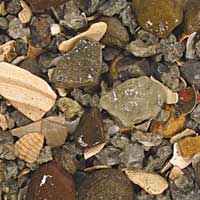 Carib Sea ACS00255 Rift Lake Authentic 50lb