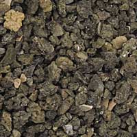 Carib Sea ACS00250 African Cichlid Mix 50lb