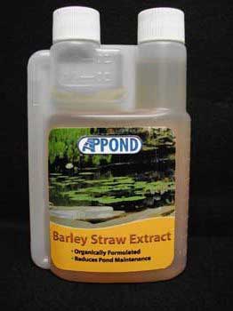 Aquarium Products AAZ03029 Ap Pond Barley Straw Extract 16oz Dosing Bottle