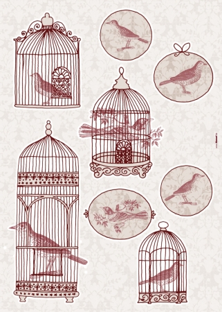 Living Peel And Stick Bird Cage European Wall Decals