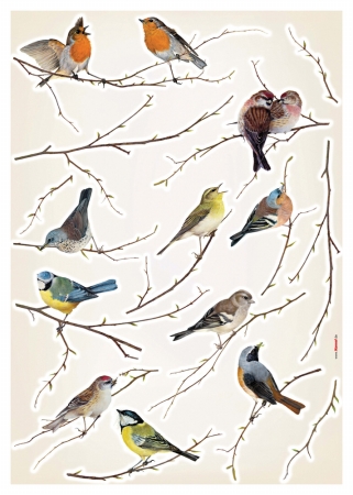 Living Lv19005 Birds European Wall Decals