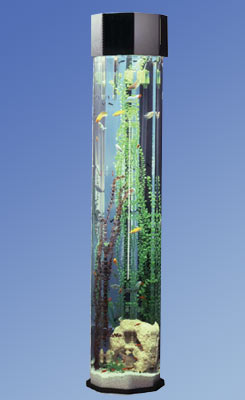 690 Octagon Aqua Tower