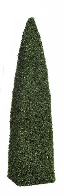 8 Ft. Boxwood Cone Topiary