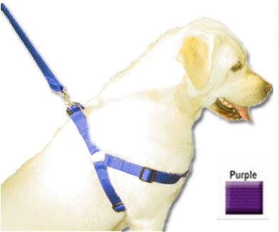 Majestic Pet 788995831037 15-25 In. Step In Harness Purple