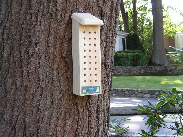 20060 Solitary Bee House