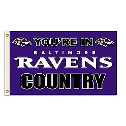 Fremont Die Inc. 94131B 3 Ft. X 5 Ft. Flag W/Grommetts Baltimore Ravens