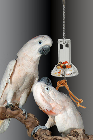 Caitec Bird Toys 02000612 Caitec Foraging System Foraging Capsule
